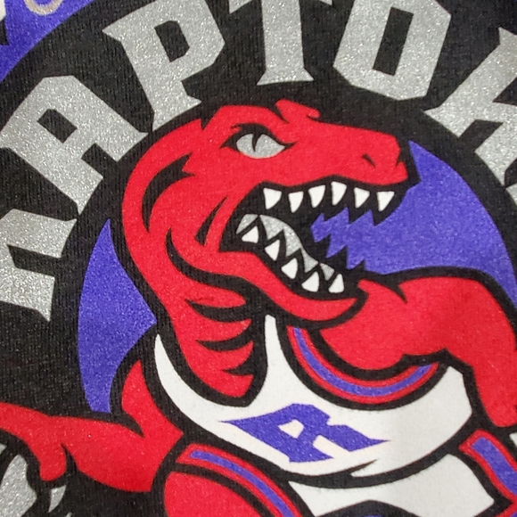 Toronto Raptors Hoodie - Picture 2 of 8
